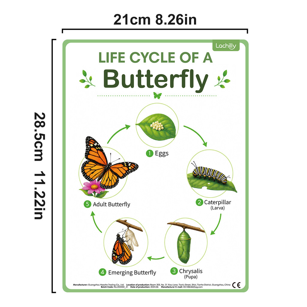 8Pcs Nature Life Cycle Educati - огляд і ціна Kids Educational Poster